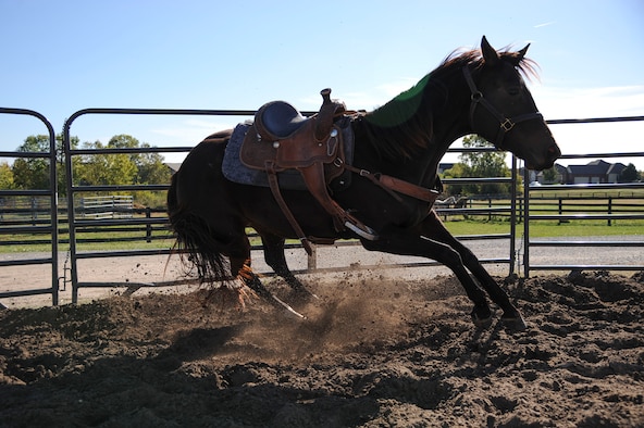 Tiz -- a 4-year-old, off-the-track thoroughbred -- changes directions upon command from her owner, Airman 1st Class Lauren Nolan, a 22nd Logistics Readiness Squadron materials management journeyman, Oct. 13, 2016, in Wichita, Kan. Nolan works with her to train for barrel racing competitions. (U.S. Air Force photo/Airman 1st Class Jenna K. Caldwell)