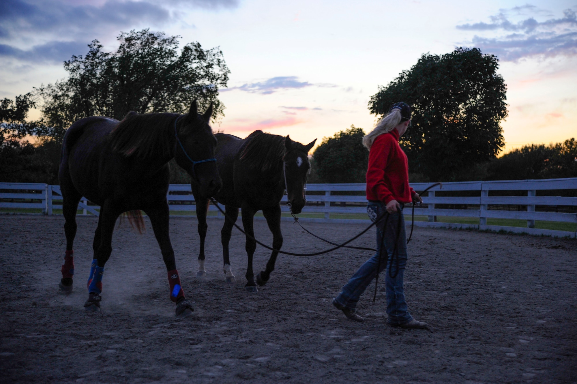 Airman 1st Class Lauren Nolan, 22nd Logistics Readiness Squadron materials management journeyman, leads her horses, Tiz Sunshine and Shoobie, Oct. 13, 2016, in Wichita, Kan. Tiz, 4 years old, and Shoobie, 6 years old, are both off-the-track thoroughbreds. (U.S. Air Force photo/ Airman 1st Class Jenna K. Caldwell)