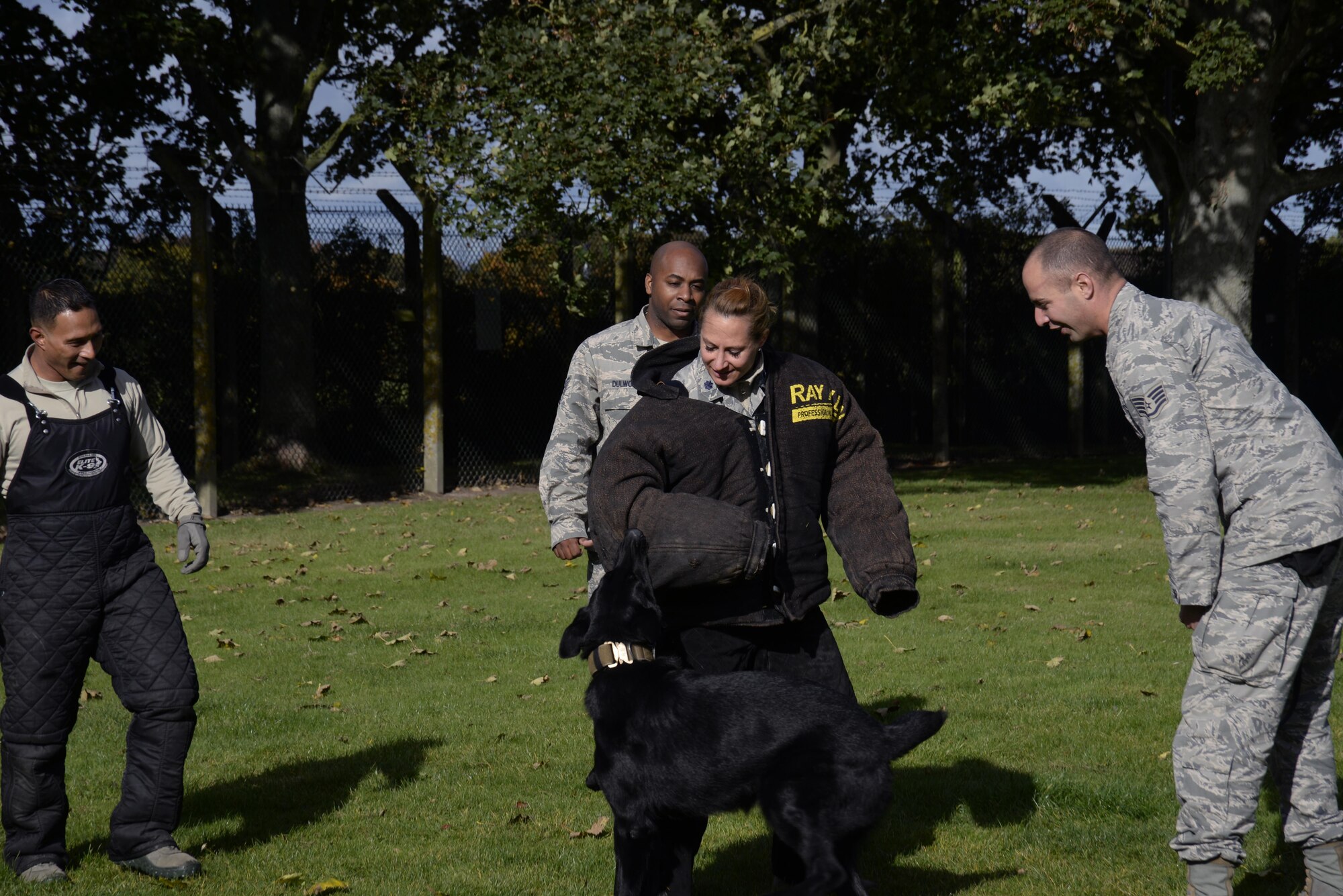 48th Security Forces Squadron military working dog handlers provide safety supervision as Duke, a MWD, bites Lt. Col. Tara Opielowski, 48th SFS commander, at Royal Air Force Feltwell, England, Oct. 18. Opielowski participated in ‘wrap’ certification training to learn how to “catch” dogs in MWD training sessions. (U.S. Air Force photo/Airman 1st Class Abby L. Finkel)