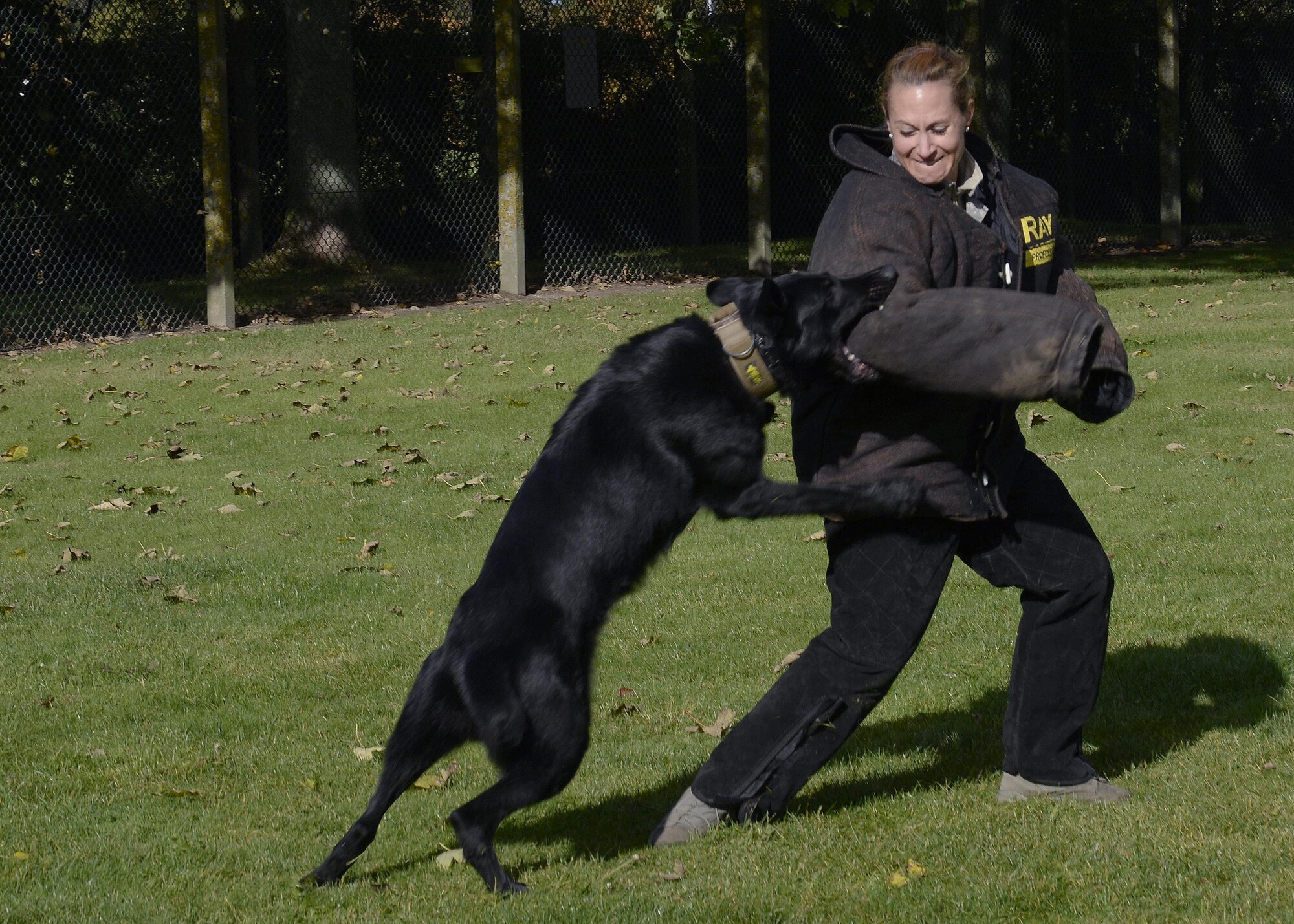 Duke, a 48th Security Forces Squadron military working dog, bites Lt. Col. Tara Opielowski, 48th SFS commander, at Royal Air Force Feltwell, England, Oct. 18. Opielowski took part in ‘wrap’ certification training in an effort to understand what many of her Airmen do on a day-to-day basis. (U.S. Air Force photo/Airman 1st Class Abby L. Finkel) 