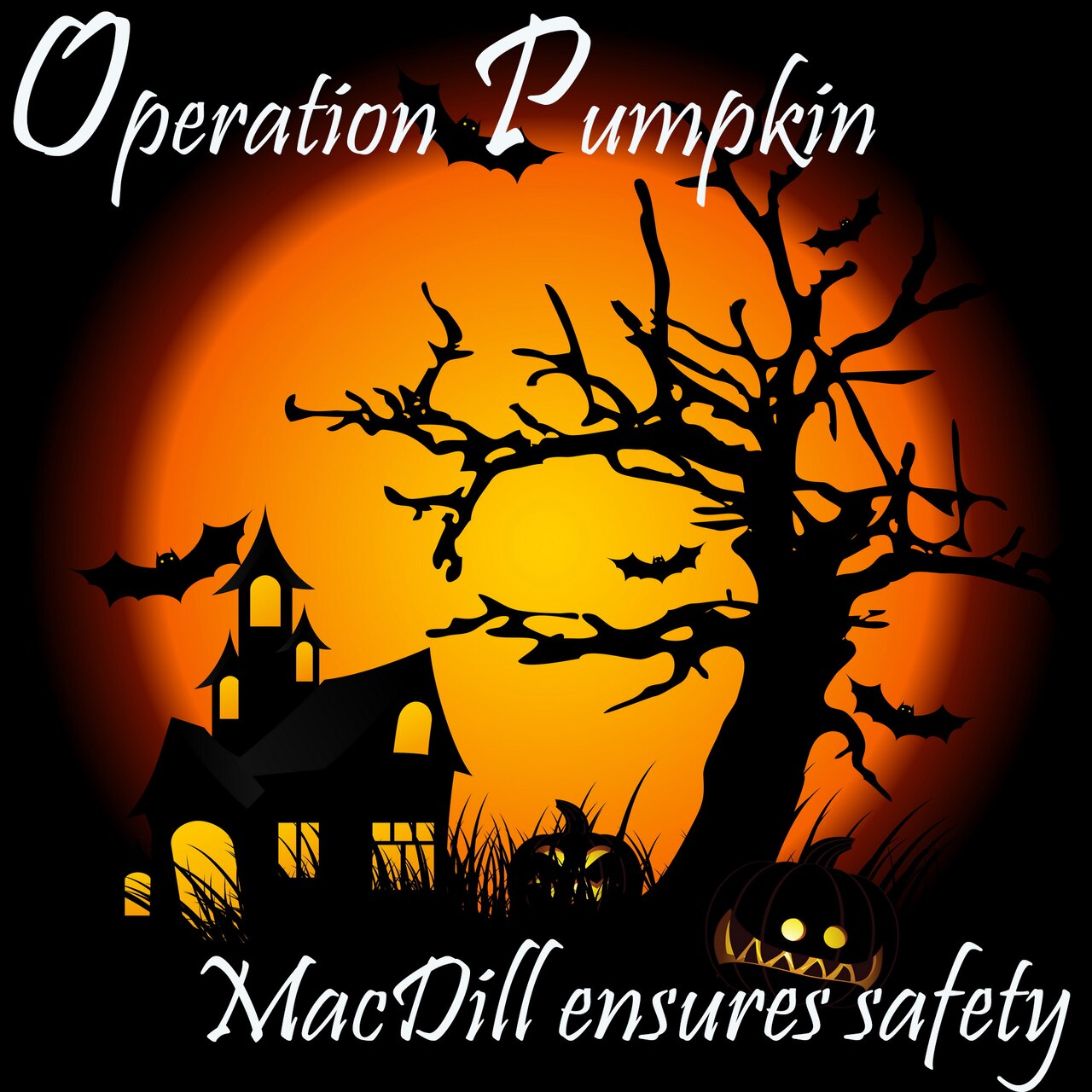 Team MacDill makes Operation Pumpkin safe for all > U.S. Department of