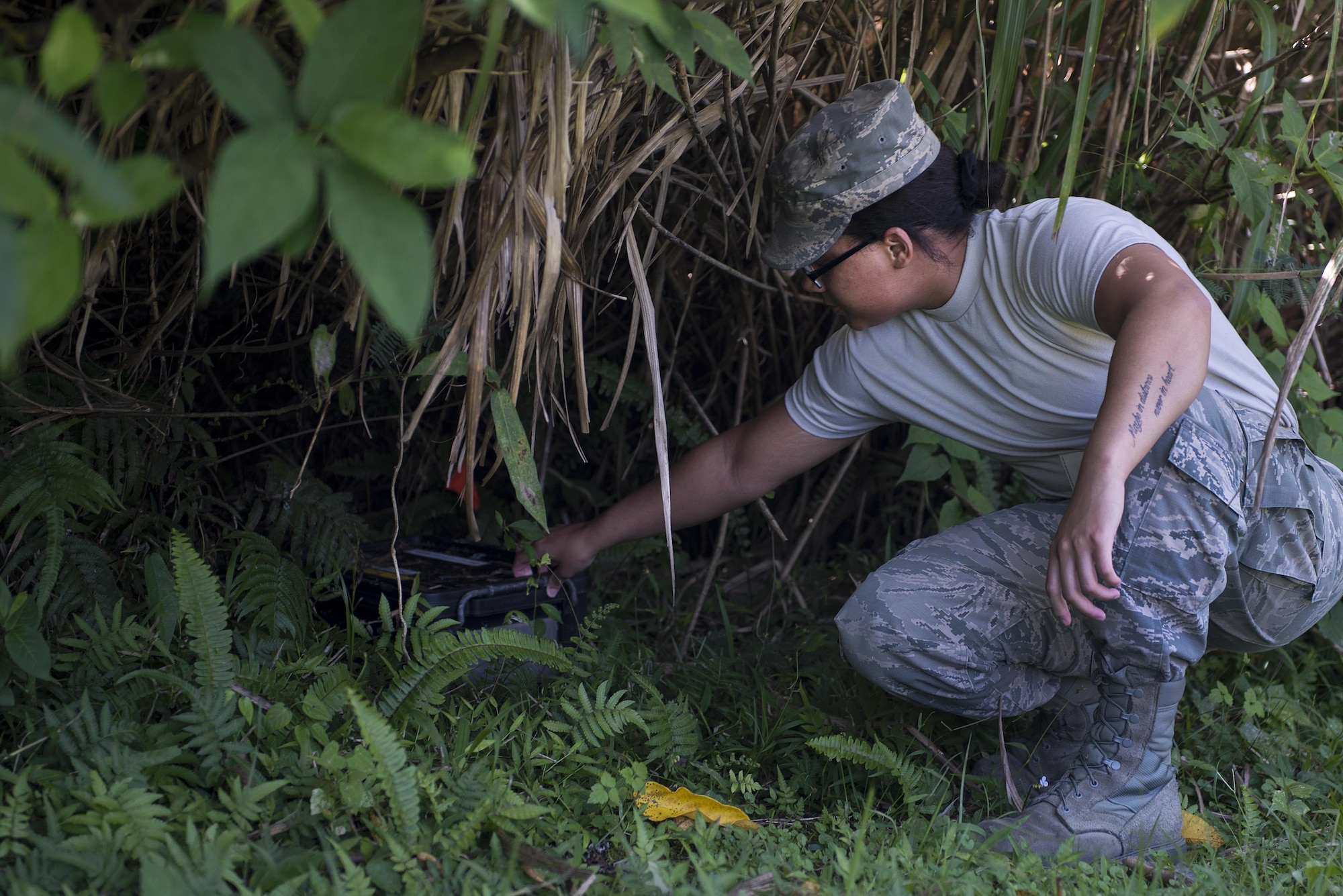 U.S. Air Force Airman 1st Class Adrianna Washington, 18th Civil Engineer Squadron pest management specialist, checks a habu trap Oct. 19, 2016, at Kadena Air Base, Japan. The traps use a live mouse separated by a cage to lure in the habu, and the mouse is not harmed. (U.S. Air Force photo by Airman 1st Class Corey M. Pettis)