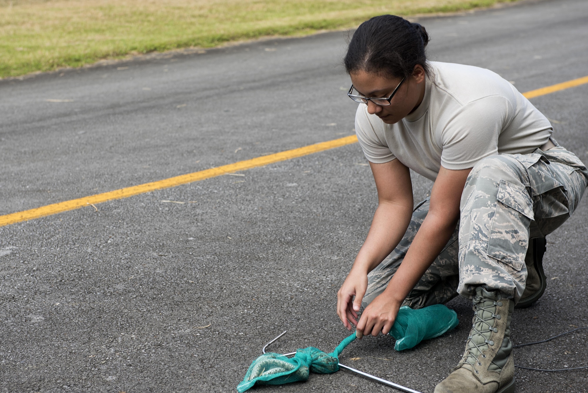U.S. Air Force Airman 1st Class Adrianna Washington, 18th Civil Engineer Squadron pest management specialist, ties the net containing habu snakes Oct. 19, 2016, at Kadena Air Base, Japan. The pest management office is removing the Taiwanese Habu because it’s an invasive species and a threat to the local ecosystem. (U.S. Air Force photo by Airman 1st Class Corey M. Pettis)
