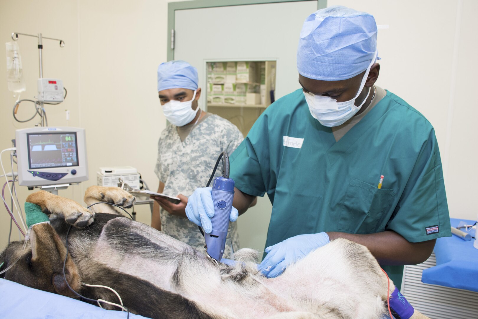 Pvt. Audie Farley (left) shaves a U.S. Customs and Border Patrol working dog in preparation for surgery while Pvt. Miles Gist monitors the animal’s vital signs.