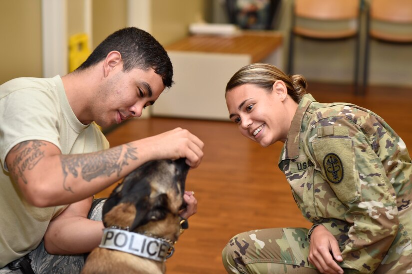 U.S. Army Capt. Chelsi Deaner, Joint Base Charleston Veterinary Treatment Facility veterinary core officer, examines Military Working Dog Ari’s teeth while Senior Airman Trey Weston, a 628th Security Forces Squadron military working dog handler, holds Ari’s mouth open at the Veterinary Treatment Facility here, Oct. 18, 2016. The JB Charleston Veterinary Treatment Facility provides care to military working dogs and has quarterly training with the military working dog handlers on emergency procedures and first aid for their dog when they deploy.