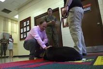 Patrick Adams congratulates retired military working dog, Patti after her award ceremony on Marine Corps Air Station Futenma, Okinawa, Japan, Oct. 24, 2016. Patti received an award for bravely serving as a combat tracking dog during Operation Iraqi Freedom in 2007. (U.S. Marine Corps photo by Cpl. Janessa Pon)