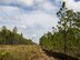 A silt fence running toward the horizon is the barrier surrounding the gopher tortoises’ new habitat deep within the Eglin Air Force Base range Oct. 26.  The first of approximately 250 tortoises were released into their 100-acre environment after being rescued from urban development at their previous home in South Florida.  Increasing the gopher tortoise population here could prevent the U.S. Fish and Wildlife Service from listing the animal on the Threatened and Endangered Species list, allowing more flexibility for the military missions on Eglin. (U.S. Air Force photo/Samuel King Jr.)