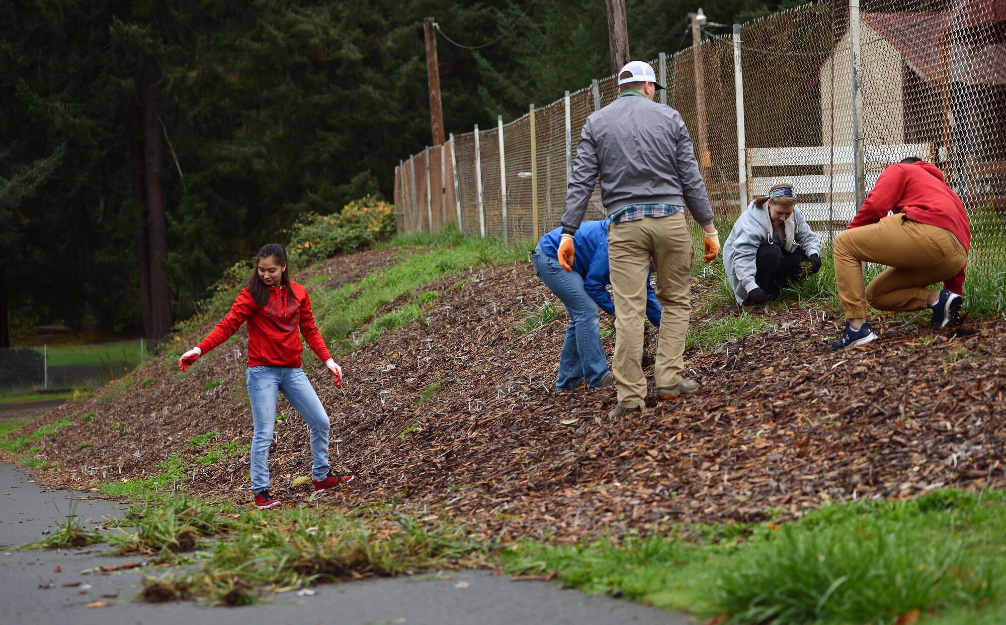 Airman 1st Class Alexis Faucett (left), 627th Logistics Readiness Squadron vehicle operator, and Airmen from the 627th LRS clear Thurston County Fairgrounds of weeds during a Day of Service Oct. 27, 2016, in Olympia, Wash. This is the third year Airmen have participated in the event to help improve the local community. (U.S. Air Force photo/Senior Airman Jacob Jimenez) 
