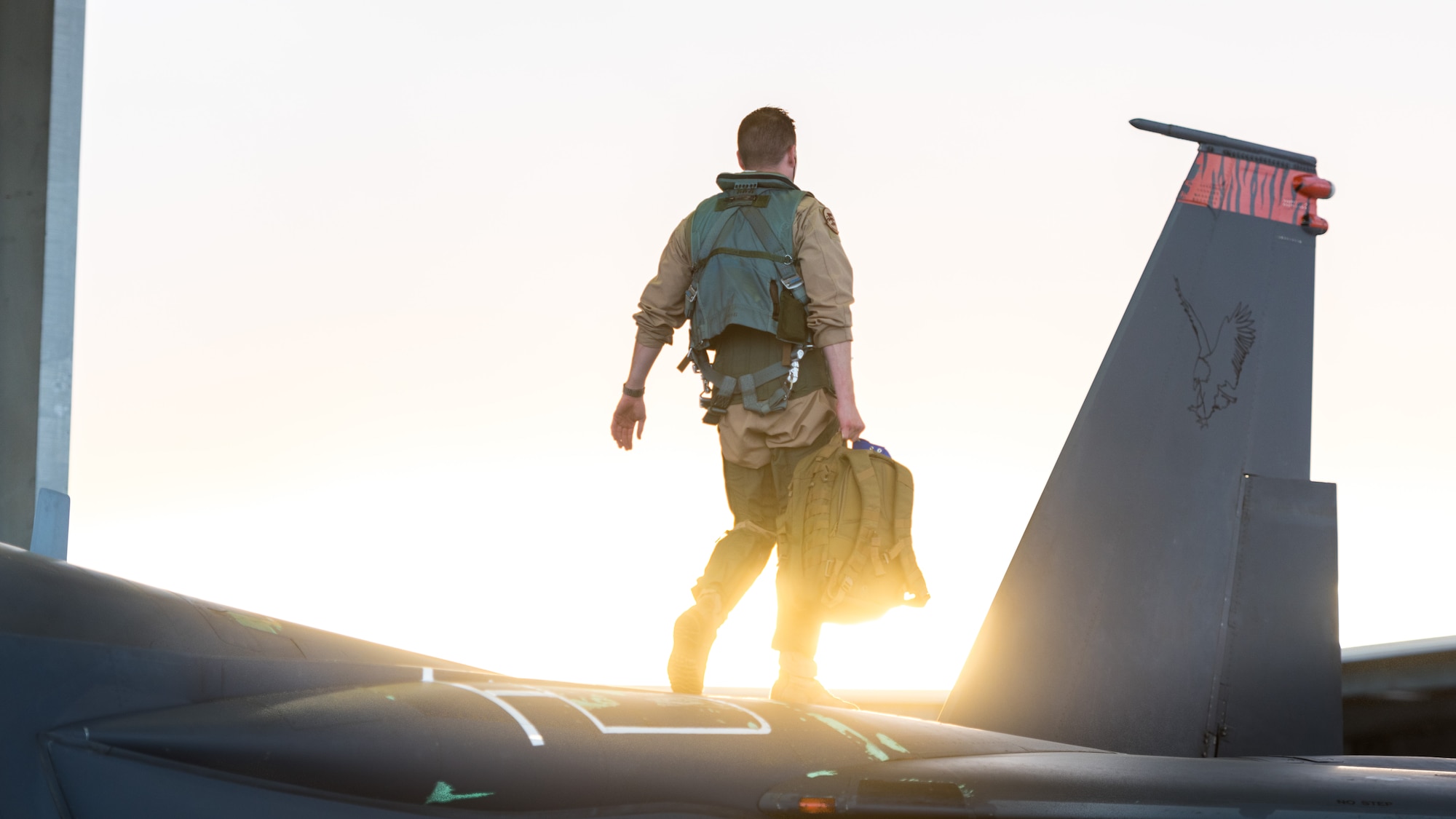 A pilot assigned to the 389th Fighter Squadron walks along the top of an F-15E Strike Eagle Oct. 1, 2016, at Mountain Home Air Force Base, Idaho. The 389th FS is currently deployed to Southwest Asia in support of Operation Inherent Resolve. (U.S. Air Force photo by Senior Airman Connor J. Marth/Released)