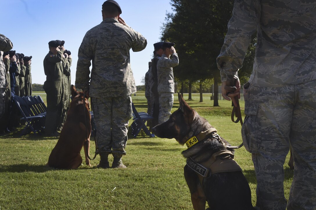Service members salute during a memorial service Oct. 28, 2016, at Joint Base Andrews, Md., for two military working dogs who recently passed away. The service honored the MWD’s accomplishments and included a 21-gun salute and the playing of Taps. (U.S. Air Force photo by Senior Airman Mariah Haddenham)