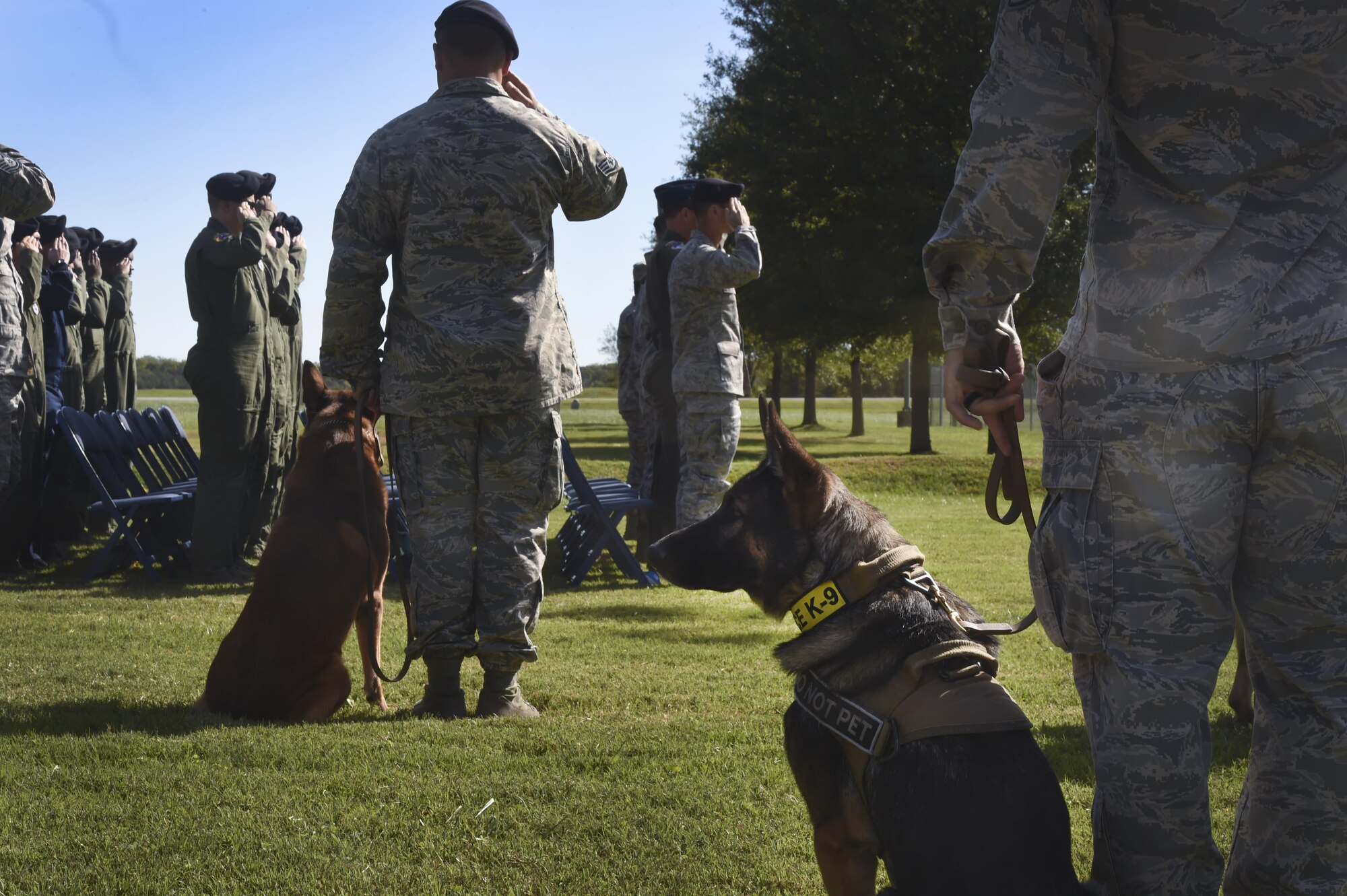 Service members salute during a memorial service Oct. 28, 2016, at Joint Base Andrews, Md., for two military working dogs who recently passed away. The service honored the MWD’s accomplishments and included a 21-gun salute and the playing of Taps. (U.S. Air Force photo by Senior Airman Mariah Haddenham)