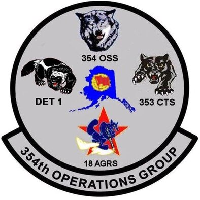 354th Operations Group Patch