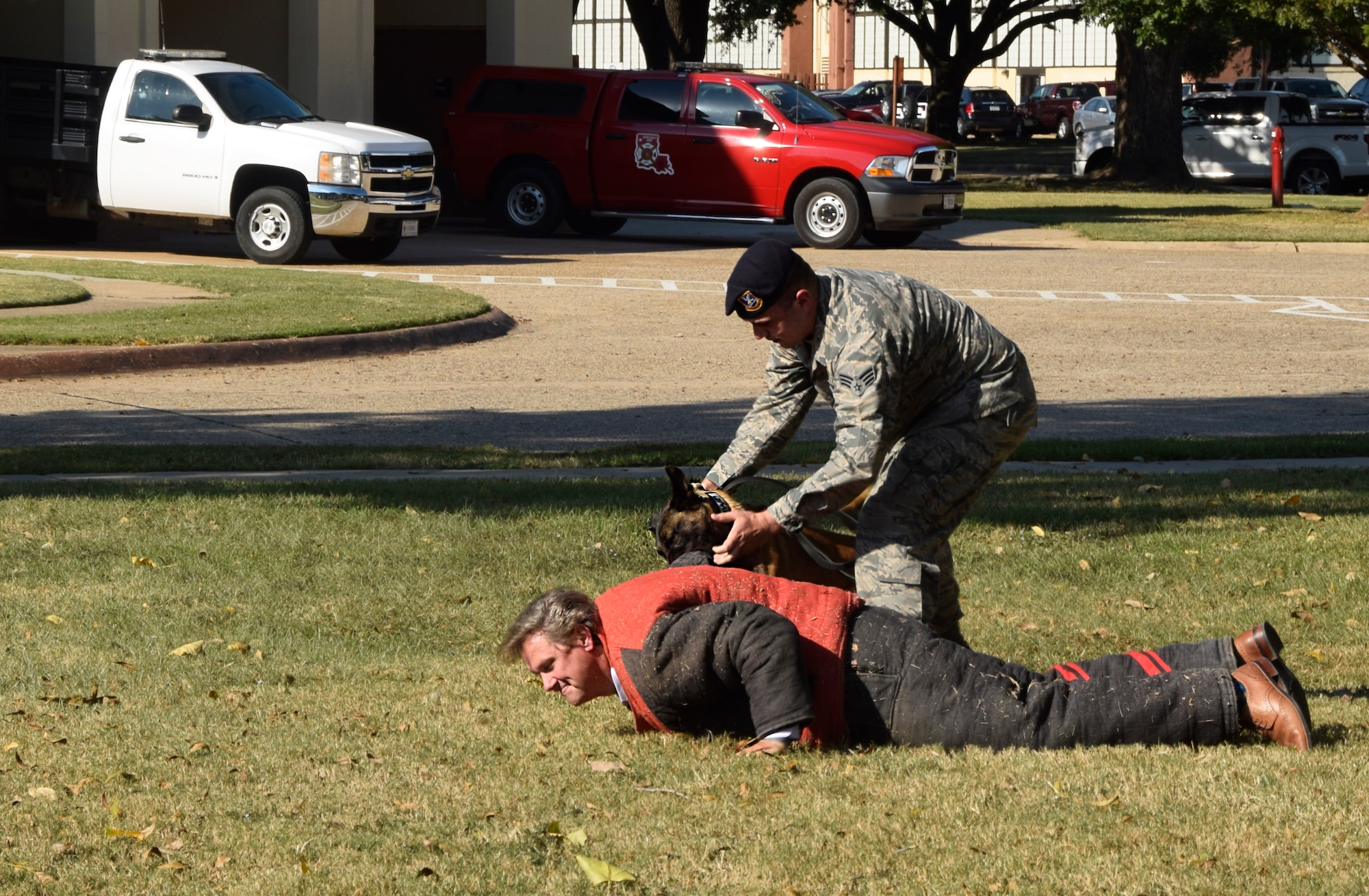 Senior Airman Jonathan Baker, 2nd Security Forces Squadron military working dog handler, commands his partner, Vellma, let go of Randy Stokes, owner of The Barn Door restaurant in San Antonio and volunteer assailant, during a military working dog demonstration Oct. 27, 2016 at Barksdale Air Force Base, Lousians. The demonstration was part of a civic leader tour sponsored by the 433rd Airlift Wing and hosted by the 307th Bomb Wing. (U.S. Air Force photo by Tech. Sgt. Lindsey Maurice)  