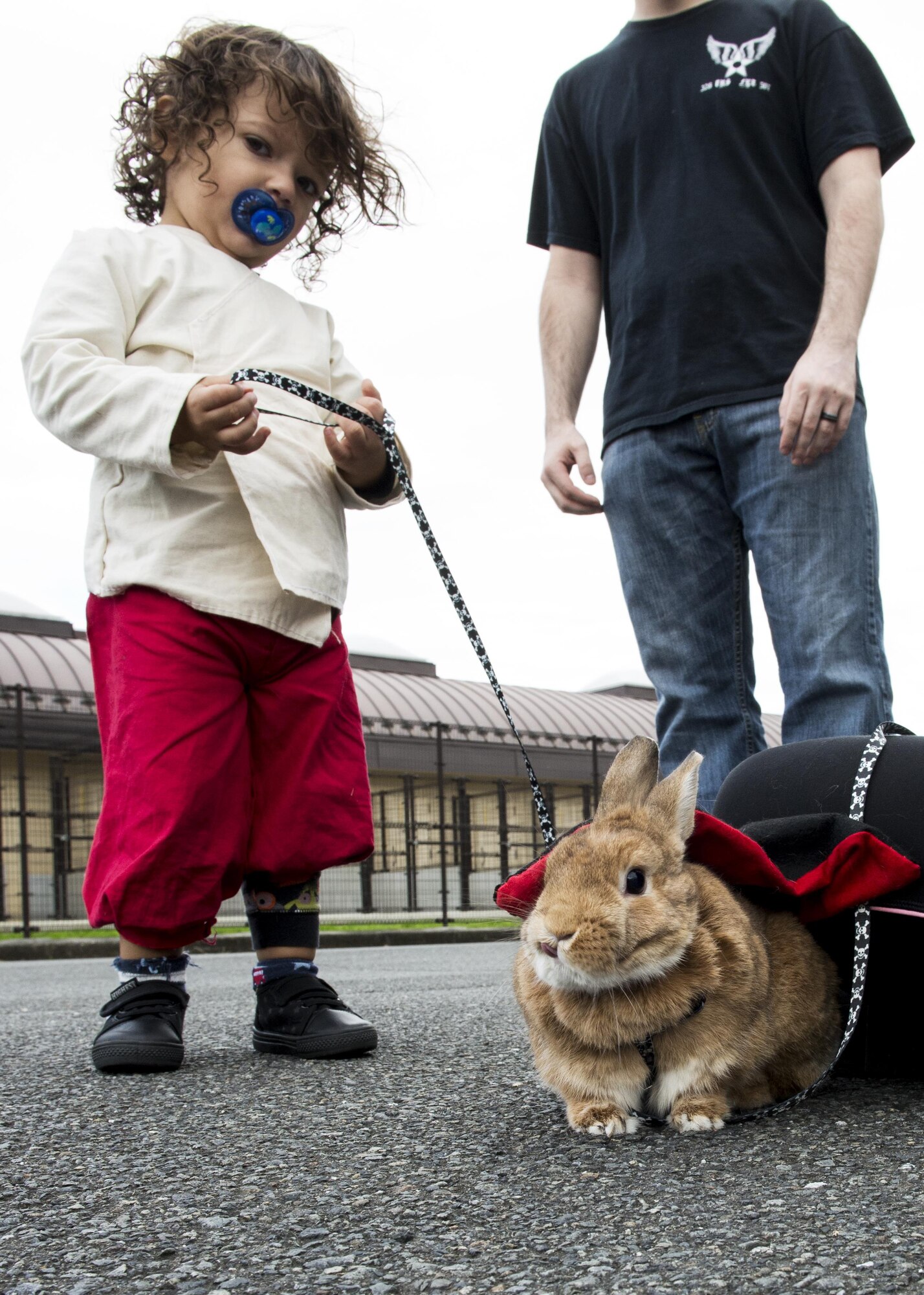 A child walks their costumed pet rabbit during the 374th Force Support Squadron’s Howl-O-Ween Pawty on Oct. 29, 2016, at Yokota Air Base, Japan. The event included activities and games for families, including: sumo wrestling suits, bounce castle and face painting. (U.S. Air Force photo by Airman 1st Class Donald Hudson/Released)