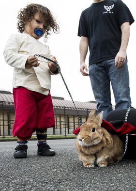 A child walks their costumed pet rabbit during the 374th Force Support Squadron’s Howl-O-Ween Pawty on Oct. 29, 2016, at Yokota Air Base, Japan. The event included activities and games for families, including: sumo wrestling suits, bounce castle and face painting. (U.S. Air Force photo by Airman 1st Class Donald Hudson/Released)
