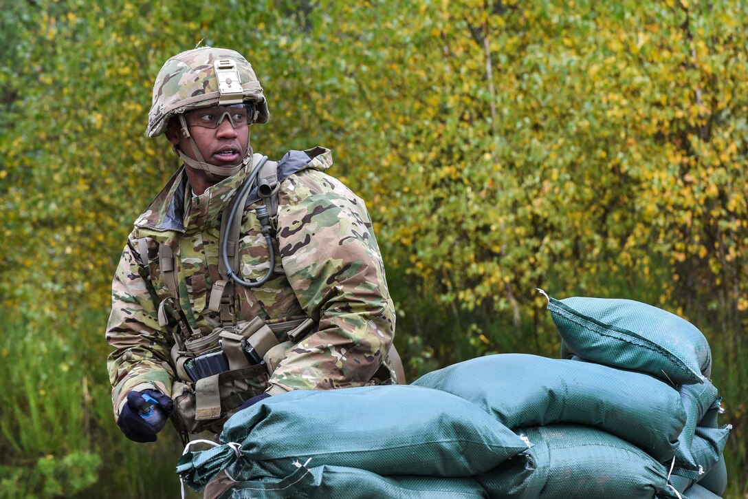 A soldier prepares to throw a training hand grenade during training to earn the Expert Infantryman Badge at the Grafenwoehr Training Area in Germany, Oct. 20, 2016. Candidates have five grenades to hit three different targets. Army photo by Spc. Nathanael Mercado 