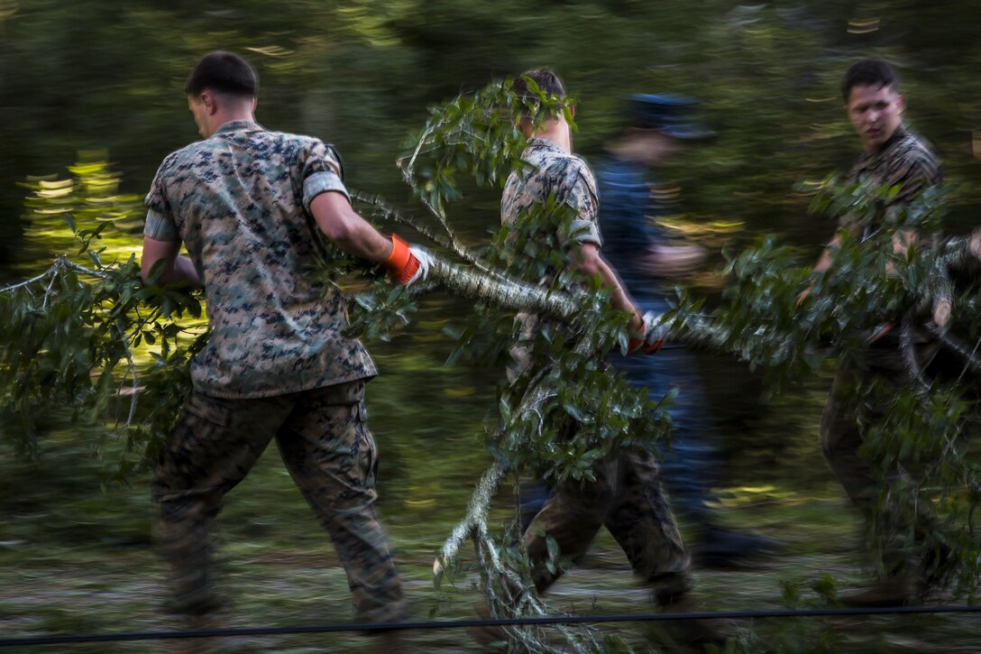 Marines remove a tree from a road aboard Marine Corps Air Station Beaufort Oct. 9. Marines and sailors with MCAS Beaufort continued to work to remove debris and establish infrastructure aboard the air station and Laurel Bay after Hurricane Matthew.