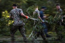 Marines remove a tree from a road aboard Marine Corps Air Station Beaufort Oct. 9. Marines and sailors with MCAS Beaufort continued to work to remove debris and establish infrastructure aboard the air station and Laurel Bay after Hurricane Matthew.