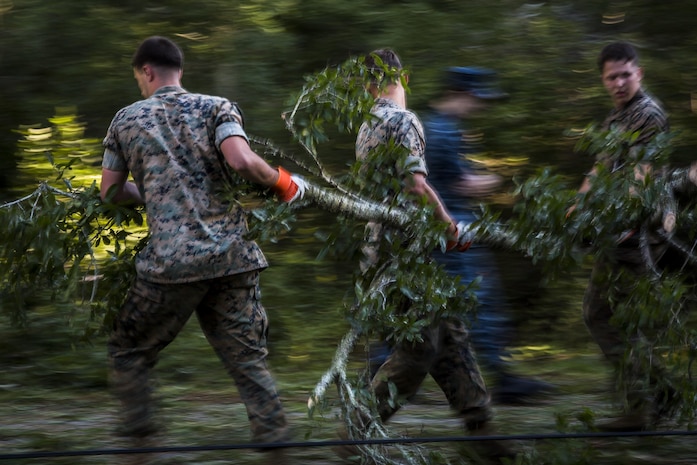 Marines remove a tree from a road aboard Marine Corps Air Station Beaufort Oct. 9. Marines and sailors with MCAS Beaufort continued to work to remove debris and establish infrastructure aboard the air station and Laurel Bay after Hurricane Matthew.