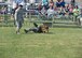 Members from the 97th Security Forces Squadron participate in a K-9 demonstration at the City of Altus Community Center in Altus, Okla., Oct. 29, 2016. Members from the 97th SFS participated in a K-9 demonstration in the local community to help educate people about the various techniques used by military dong handlers. (U.S. Air Force photo by Senior Airman Franklin R. Ramos/Released)