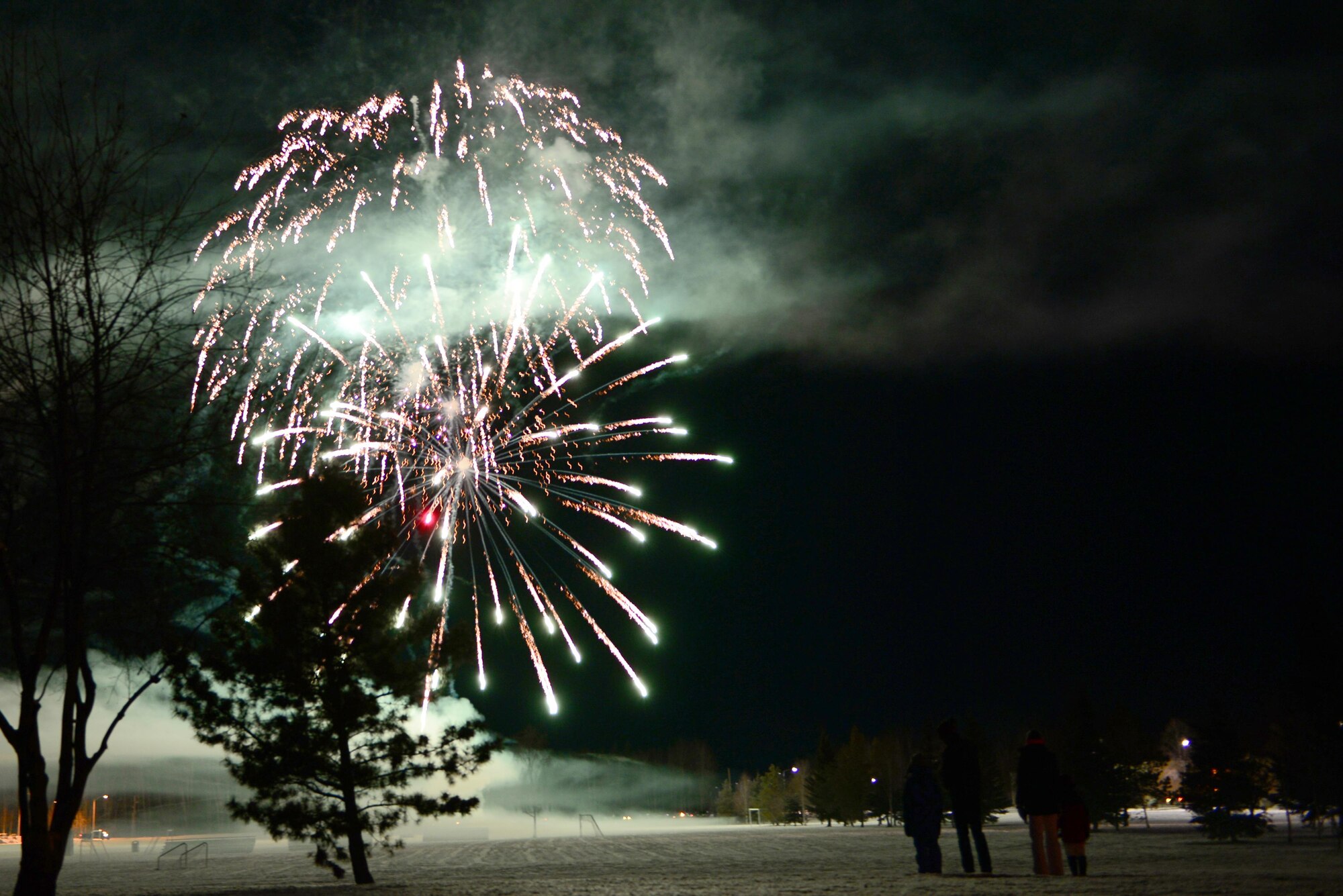 A small group of people watch a fireworks show at the end of the 2016 Fall Festival, Oct. 28, 2016, at Eielson Air Force Base, Alaska. The fireworks show lasted nearly 15 minutes and launched a variety of different fireworks. (U.S. Air Force photo by Airman Eric M. Fisher)