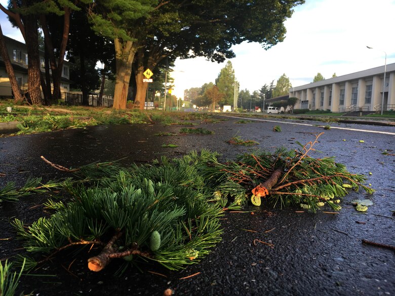 A tree ripped out and thrown onto a housing unit patio at Misawa Air Base, Japan, Aug. 31, 2016. Typhoon Lionrock is the fourth typhoon this season to make landfall in Japan and the first to hit the northeast from the Pacific Ocean since records began in 1951. (U.S. Air Force photo by Tech. Sgt. April Quintanilla)