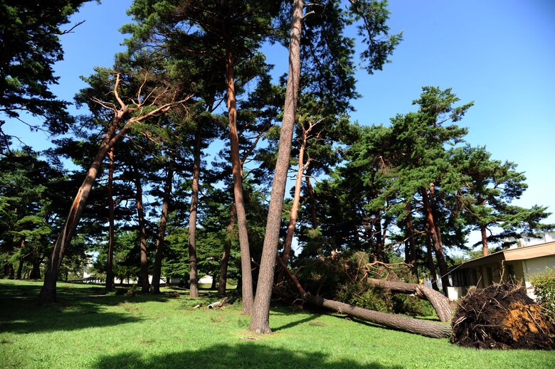 An uprooted tree lays next to a house unit at Misawa Air Base, Japan, Aug. 31, 2016. Typhoon Lionrock with 82mph of desctructive winds ripped trees out of the ground in many areas around the base. (U.S. Air Force photo by Tech. Sgt. April Quintanilla)