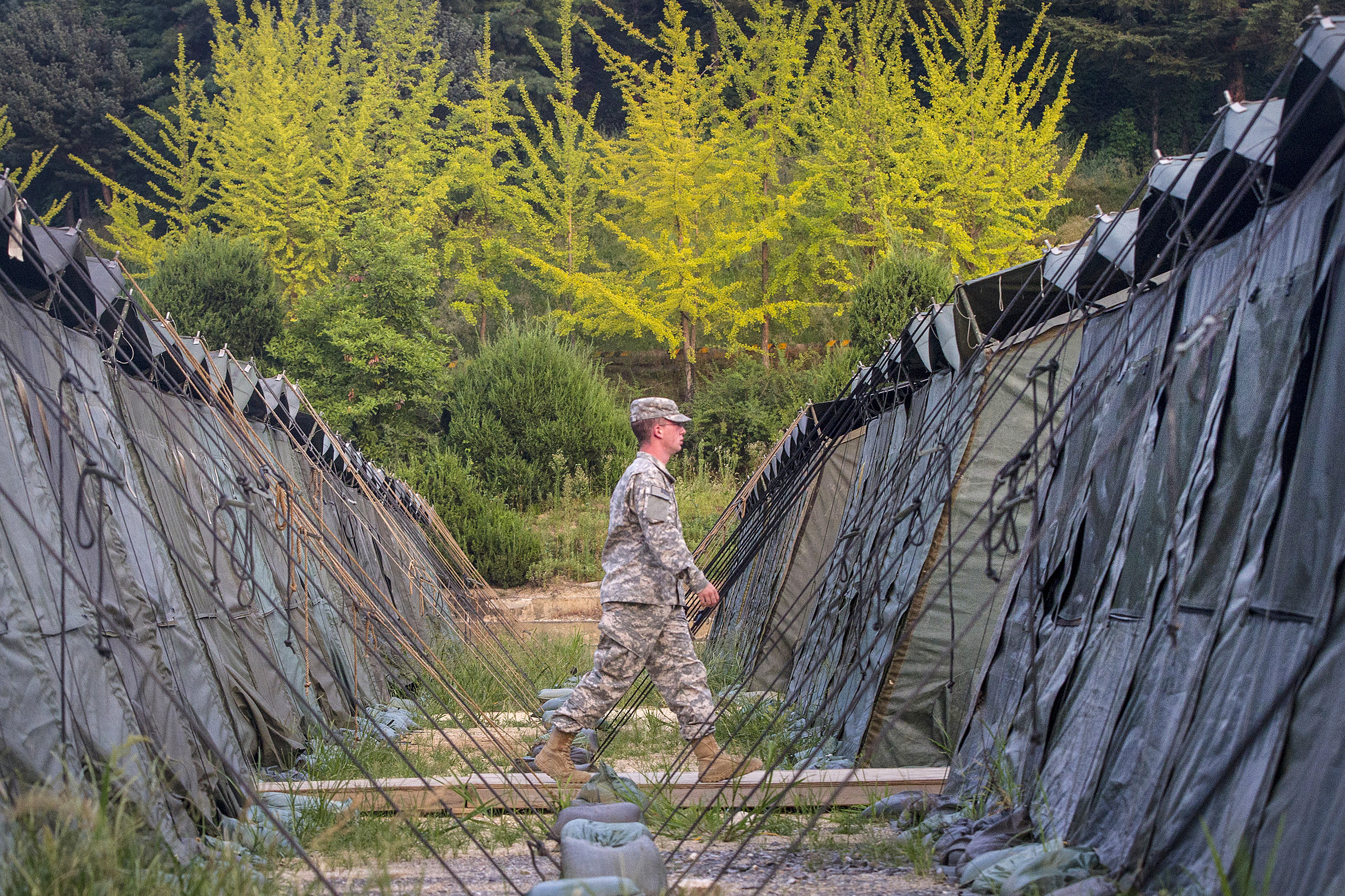 Soldier best sale walk exercise