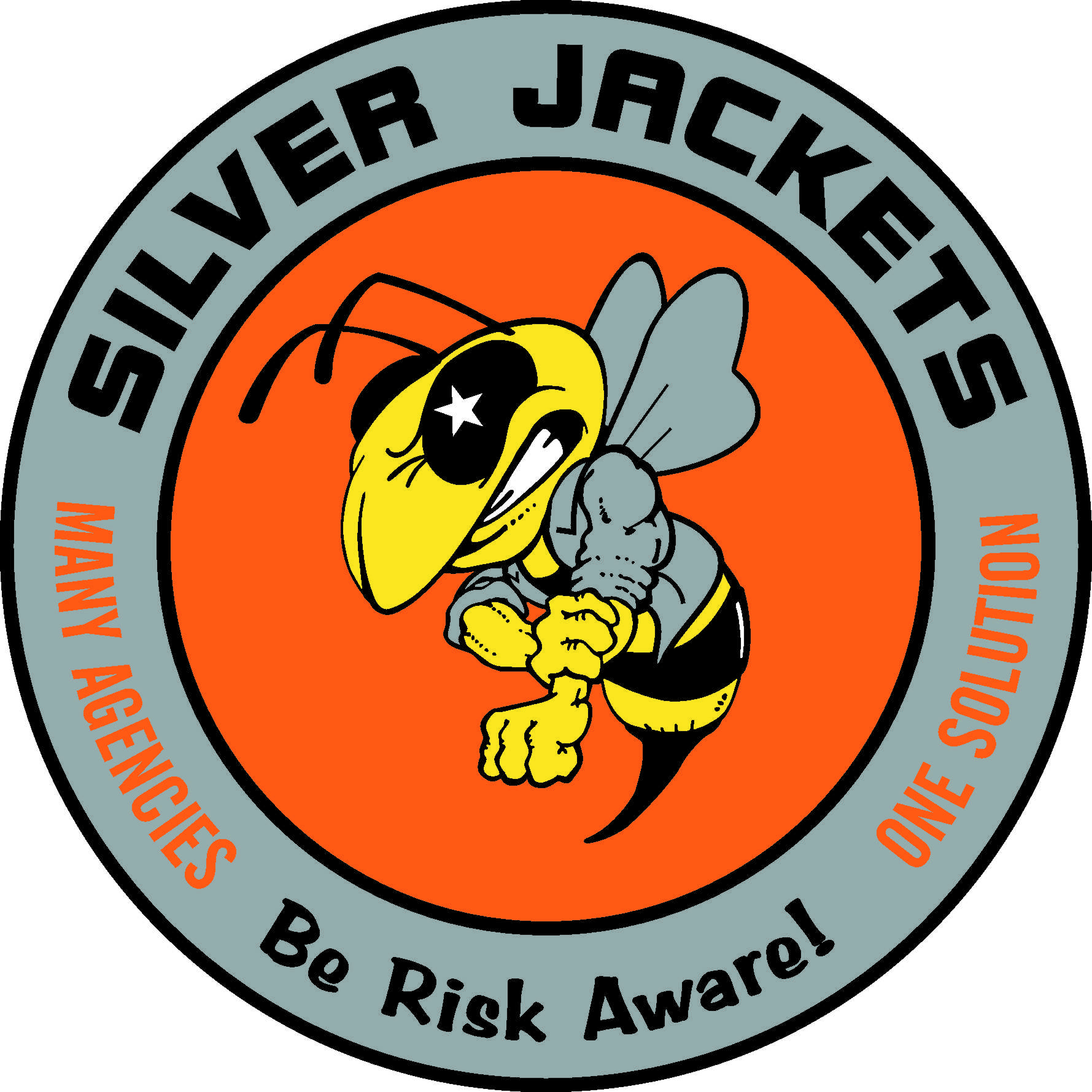 dc silver jackets