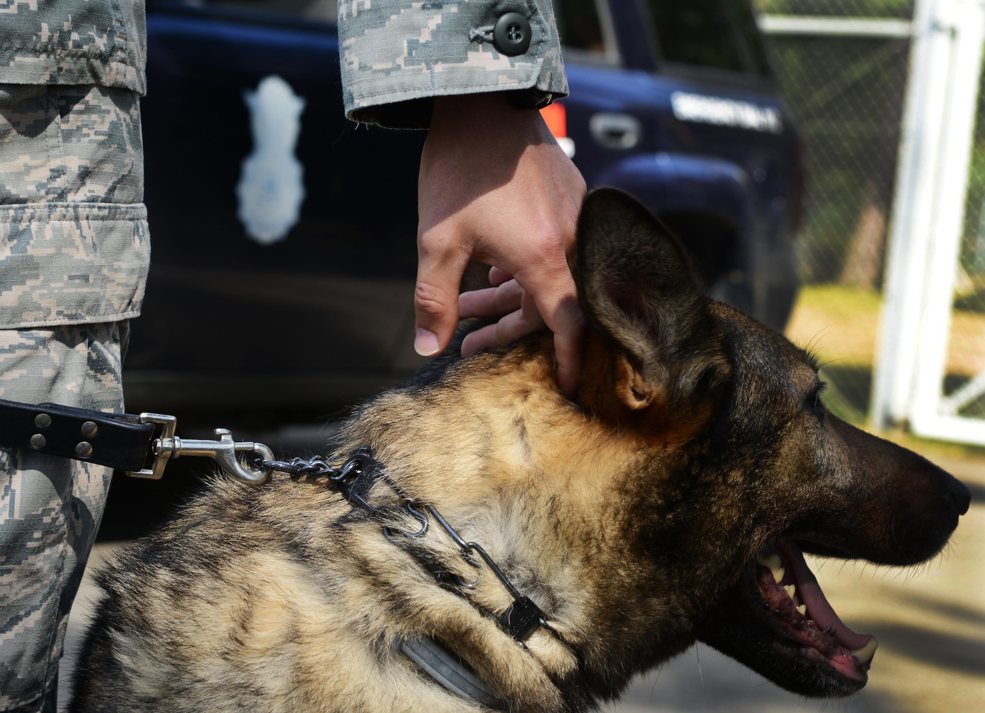 Staff Sgt. Timothy Norwood, 86th Security Forces Squadron military working dog handler, pets Charlie, 86th SFS MWD, Aug. 30, 2016 at Ramstein Air Base, Germany. The 86th SFS falls under the 86th Mission Support Group, which hosted an immersion tour for Brig. Gen. Richard G. Moore Jr., 86th Airlift Wing commander. (U.S. Air Force photo/Airman 1st Class Joshua Magbanua)