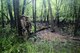 The 932nd Airlift Wing's Explosive Ordnance Disposal team members Tech. Sgt. Blake Witte (left) and Staff Sgt. Kody Bloodworth (holding gear), consider their best way through a swampy area during a practice session.  They worked through a process to meticulously prepare heavy duty string and clips to acquire their possible hazardous 