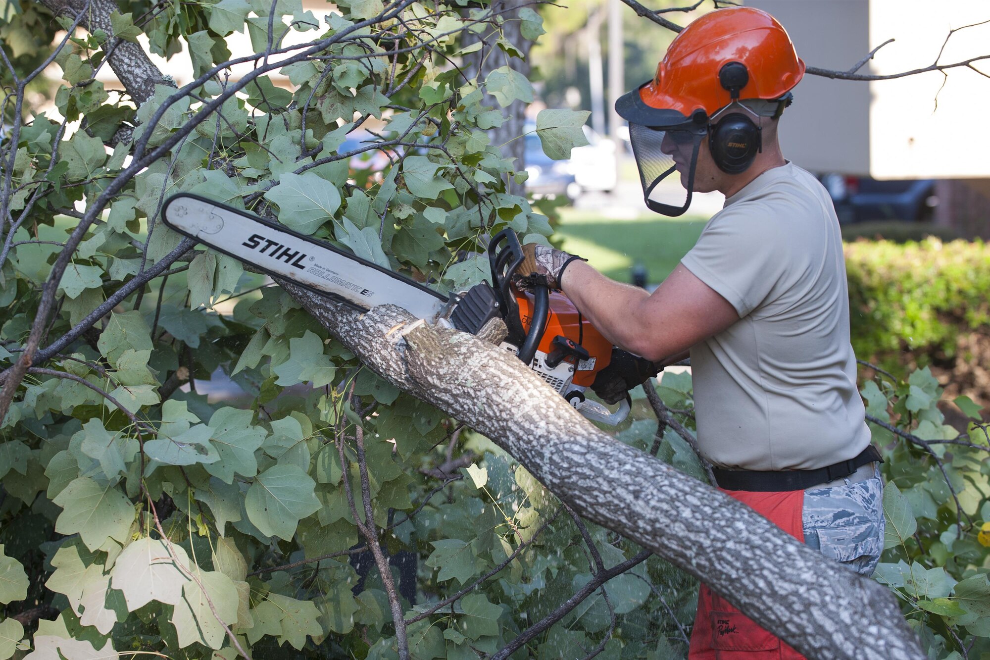 U.S. Air Force Senior Airman Brandon Devine, 23d Civil Engineer Squadron heavy equipment operator, slices through a fallen tree limb, Sept. 6, 2016, at Moody Air Force Base, Ga. Airmen from the 23d CES cut trees into smaller pieces for quicker and safer removal. (U.S. Air Force photo by Airman 1st Class Daniel Snider) 