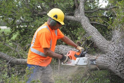 Herman Hernandez, cuts down a tree at Heritage Park, Aug. 30, 2016 Joint Base San Antonio-Randolph. Trees are removed to reduce nesting areas for birds that strike aircraft.  