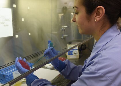 Airman Megan Garcia, 59th Training Squadron medical lab student, uses an isolation technique to test for microbiological contamination or pathogens in the Wilford Hall Ambulatory Surgical Center main lab, August 16. The results from lab tests provide vital data to support Science and Technology research protocols. (U.S. Air Force photo/Tech. Sgt. Christopher Carwile/Released)