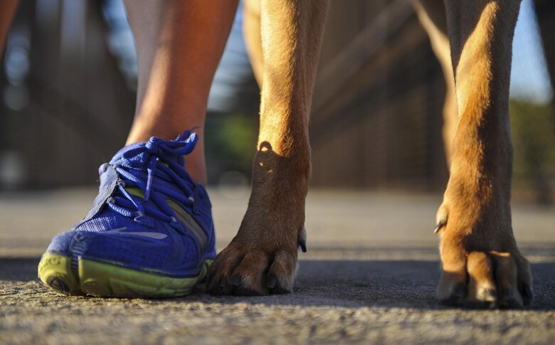 Senior Airman Rebecca Chamberlain, a paralegal with the 1st Special Operations Wing Legal Office, stands alongside her dog, Cecil, at Hurlburt Field, Fla., Aug. 30, 2016. Chamberlain often runs with Cecil as she prepares for the 20th Annual Air Force Marathon scheduled to take place Sept. 17, at Wright-Patterson Air Force Base. (U.S. Air Force photo by Airman 1st Class Joseph Pick)