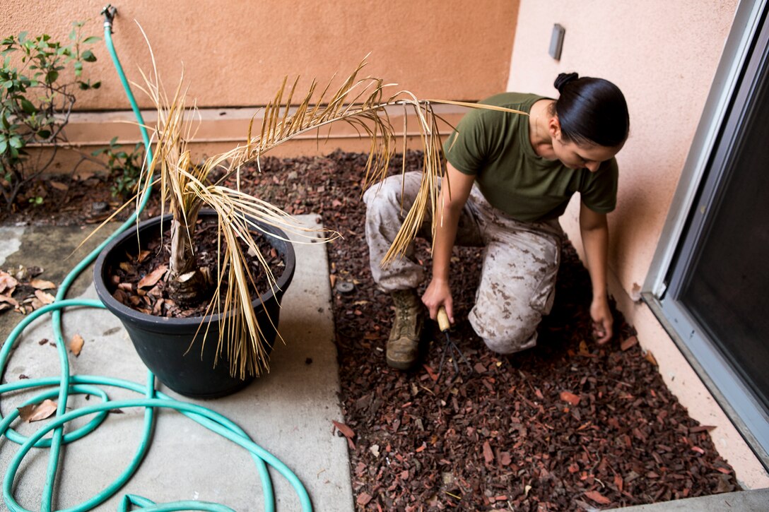 U.S. Marine Sgt. Julia Langford, an aviation electronics technician with Marine Light Attack Helicopter Squadron 369, works in a garden during a volunteer event for the United States Veterans Initiative, a nonprofit organization that helps homeless veterans, Sept. 2, 2016, in Long Beach, Calif. Marines, Sailors and Coast Guardsmen, visited the facility where hundreds of homeless veterans live and receive assistance and care. The visit was one of many community service projects that took place during the first Los Angeles Fleet Week. (U.S. Marine Corps photo by Sgt. Rick Hurtado)