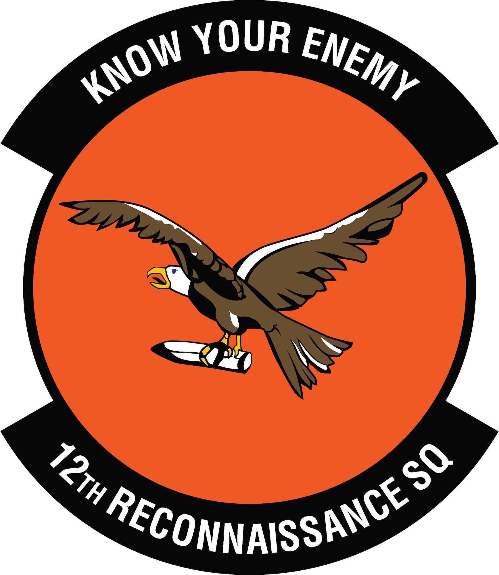 12th Reconnaissance Squadron patch 