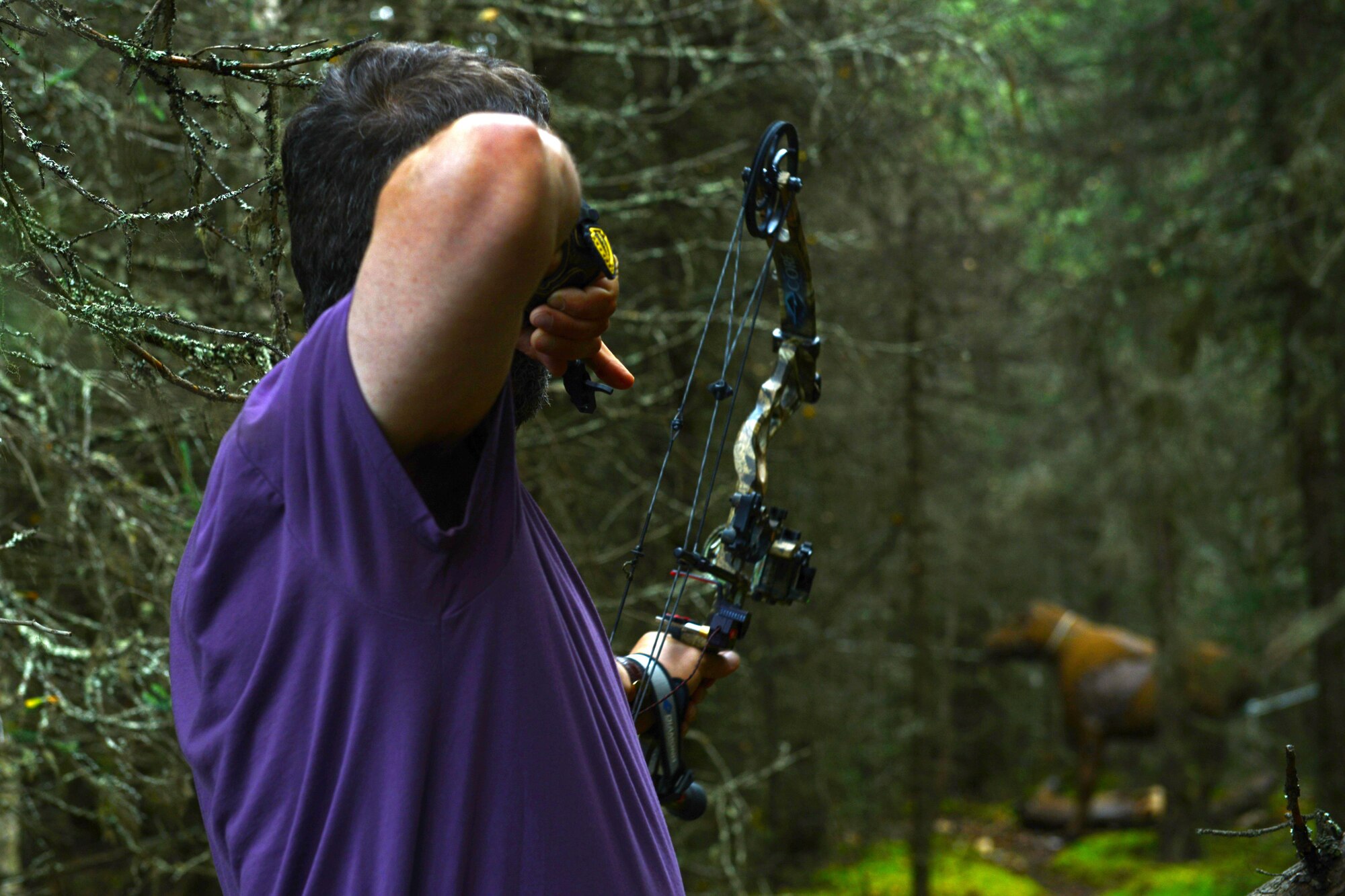 Marcus Knight, a GCI technician, shoots his bow as part of a proficiency shoot for the Joint Base Elmendorf-Richardson moose hunt, at JBER, Alaska, Aug. 20, 2016. Entrance into either of the JBER hunts is a by drawing permit only which is conducted by the Alaska Department of Fish and Game.