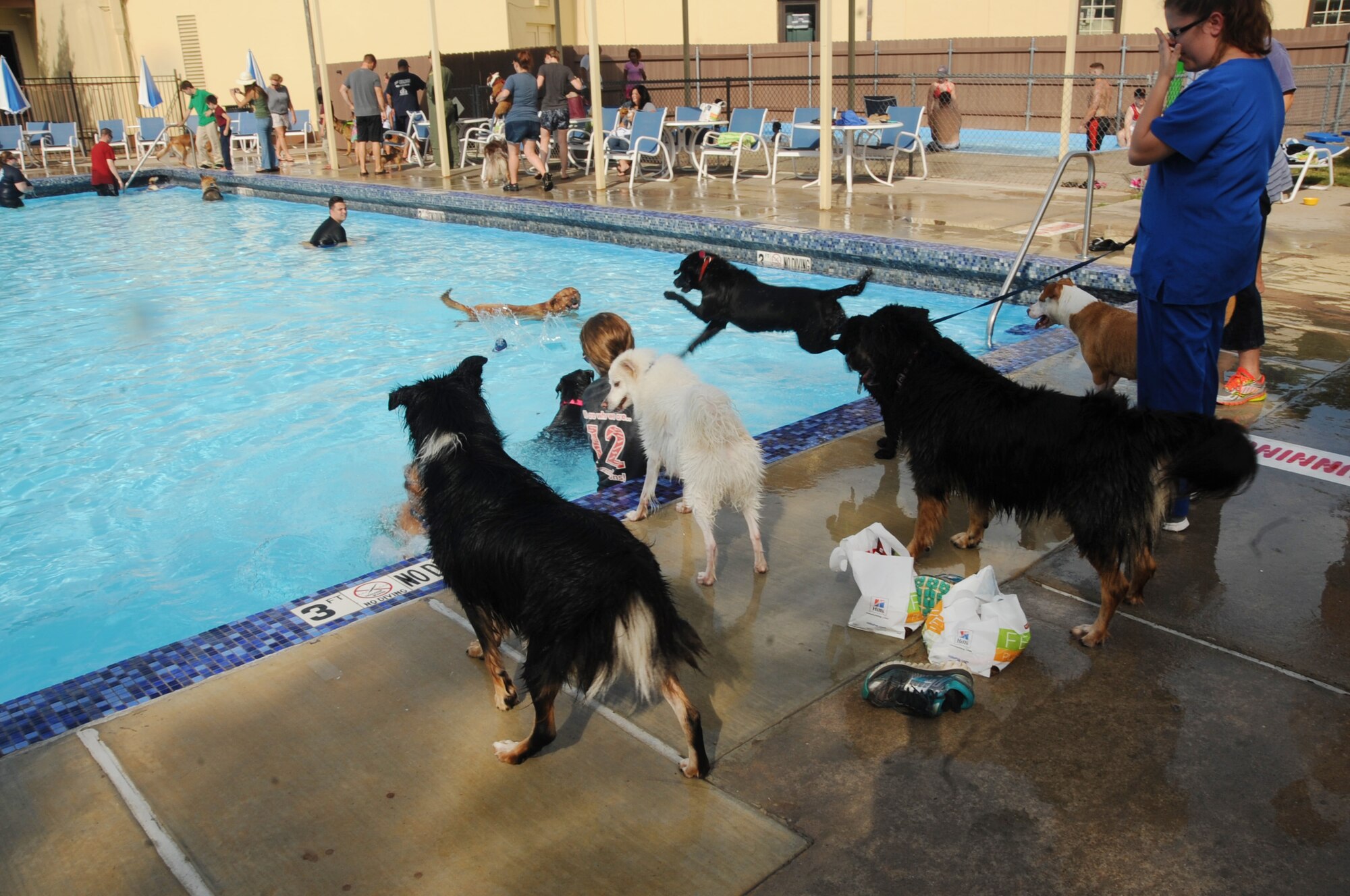 More than 50 families and their dogs participated in the Doggie Dip at the pool on Barksdale Air Force Base, La., Sept. 6, 2016. Dog-friendly goodie bags filled with treats were given to each family as they arrived. (U.S. Air Force photo/Airman Alexis C. Schultz)
