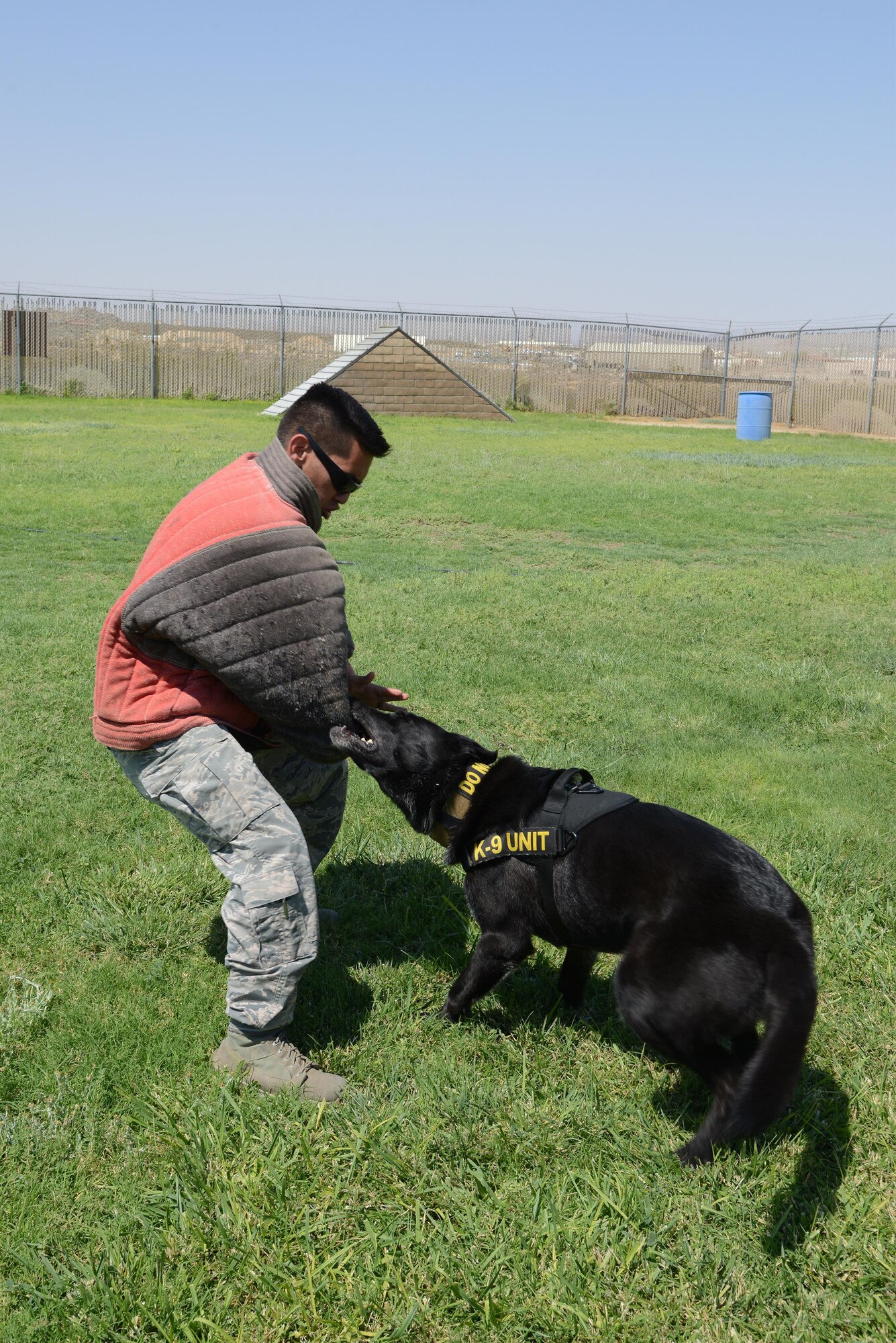 Military Working Dog Rolf takes a bite out of Staff Sgt. James Ramsey, 412th Security Forces Squadron dog handler, during a training session at the Edwards working dog facility.
