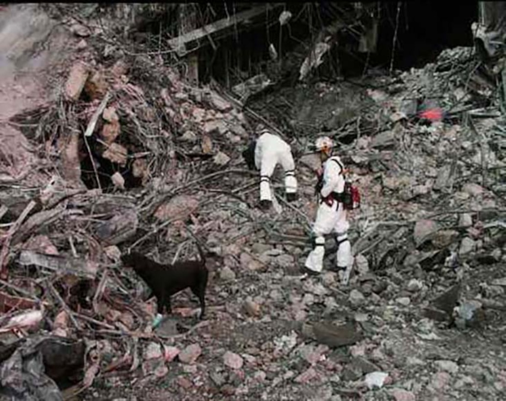 Search and rescue dogs and their handlers conduct recovery operations at the Pentagon in the days following the Sept. 11, 2001, terrorist attack. Navy photo