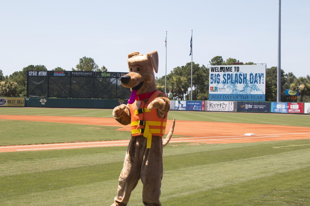 Bobber the Water Safety Dog partnered up with the Charleston Riverdogs baseball team this summer to spread his water safety message to children.