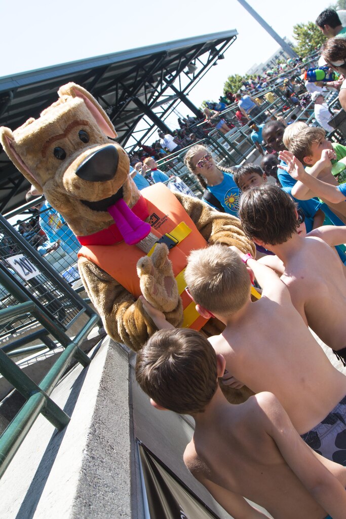 Bobber the Water Safety Dog partnered up with the Charleston Riverdogs baseball team this summer to spread his water safety message to children.