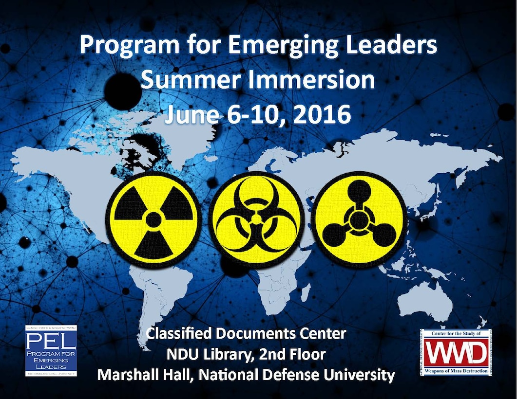Poster for Program for Emerging Leaders Summer Immersion 2018. 