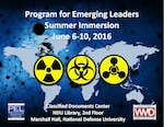 Poster for Program for Emerging Leaders Summer Immersion 2018. 