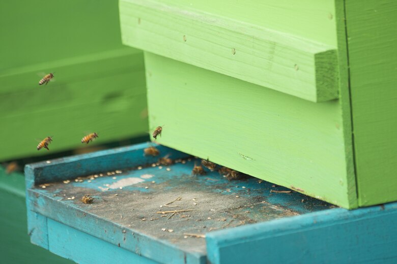 The Charleston District became the first federal agency in South Carolina to begin a bee pollinator program. President Obama and the Corps have begun initiatives to keep pollinators going in the country.