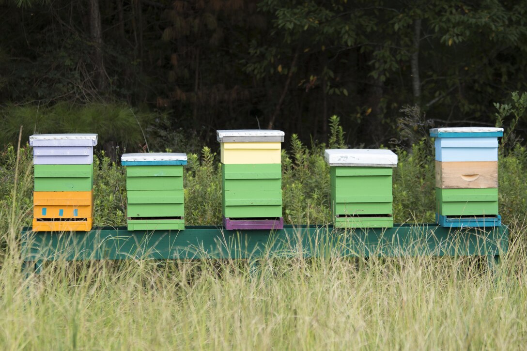 The Charleston District became the first federal agency in South Carolina to begin a bee pollinator program. President Obama and the Corps have begun initiatives to keep pollinators going in the country.