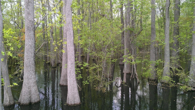 The Charleston District's Regulatory team is currently reviewing the proposed project from the South Carolina Department of Transportation to construct 76 miles of highway in the state, known as Interstate 73, which will connect Myrtle Beach to Detroit, Michigan.