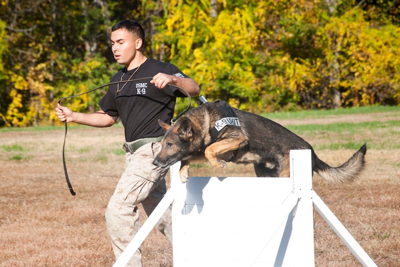 Marine Corps Sgt. Shawn Eden, Quantico Canine Unit, and his working dog Segal participate in an iron dog competition Oct. 23, 2015, at Marine Corps Base Quantico, Va. The competition included a dummy drag, an agility course, a firearm event, a tactical obedience test and a two-mile run, Army photo by Sgt. Ida Irby