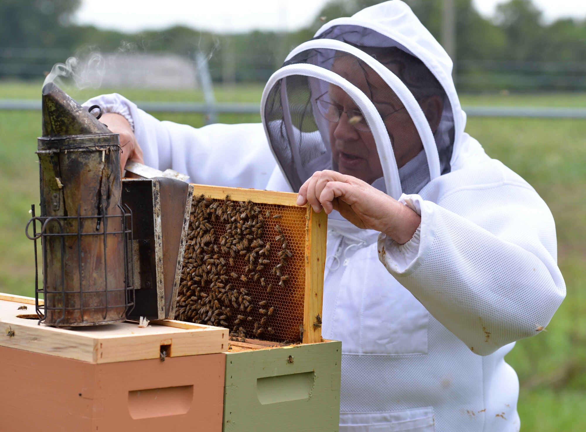 Dwight Wells, a sustainable beekeeper with the Propolis Project, inspects a young bee colony at the Huffman Prairies Queen Yard. Wright-Patterson Installation Management Division Environmental Assets Section Manages seven bee hives west of Huffman Prairie Flying Field. (U.S. Air Force photo/ Michelle Gigante)